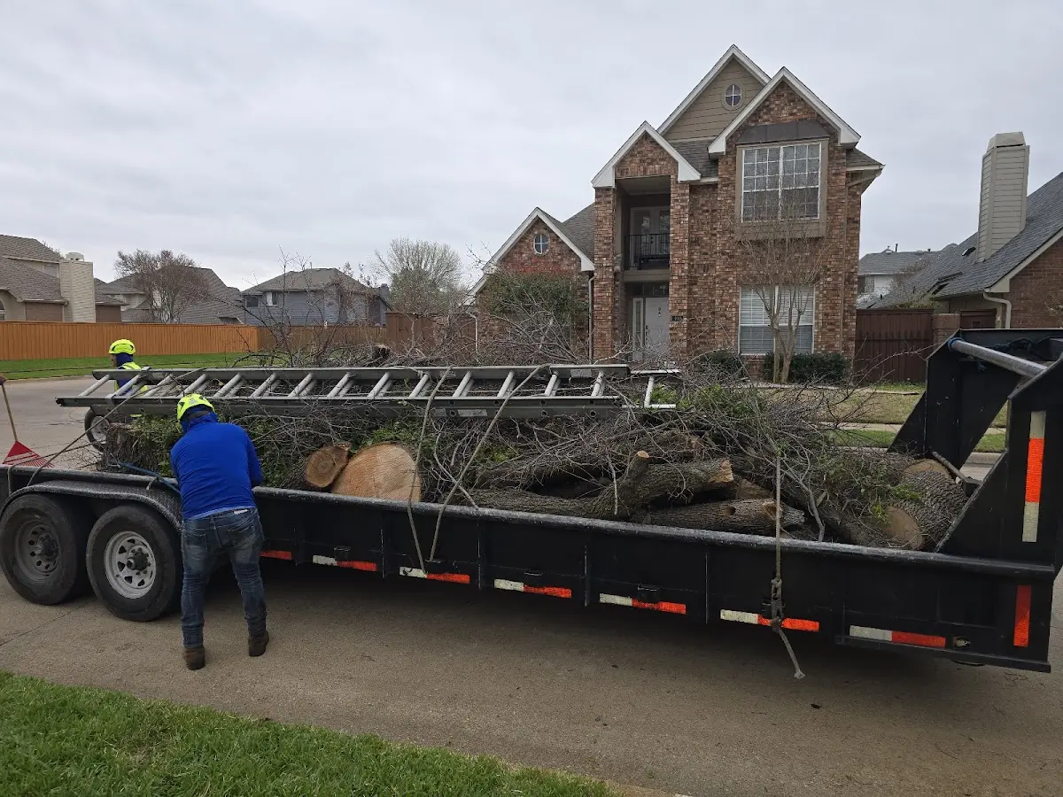 Expert Lot Clearing with proper safety equipment in Rodeo